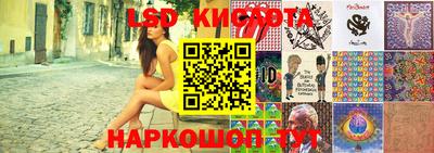 крисы Гатчина