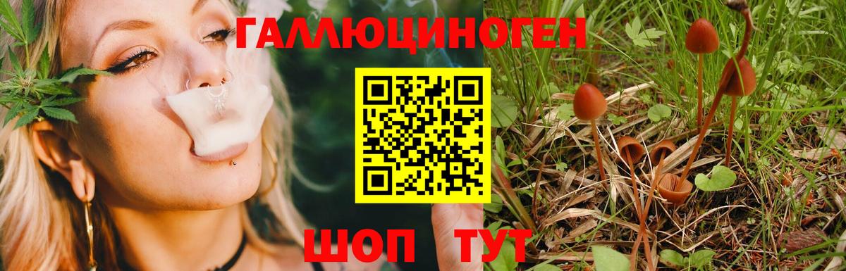 Псилоцибиновые грибы прущие грибы  закладки  Дальнегорск  Вход с VPN 